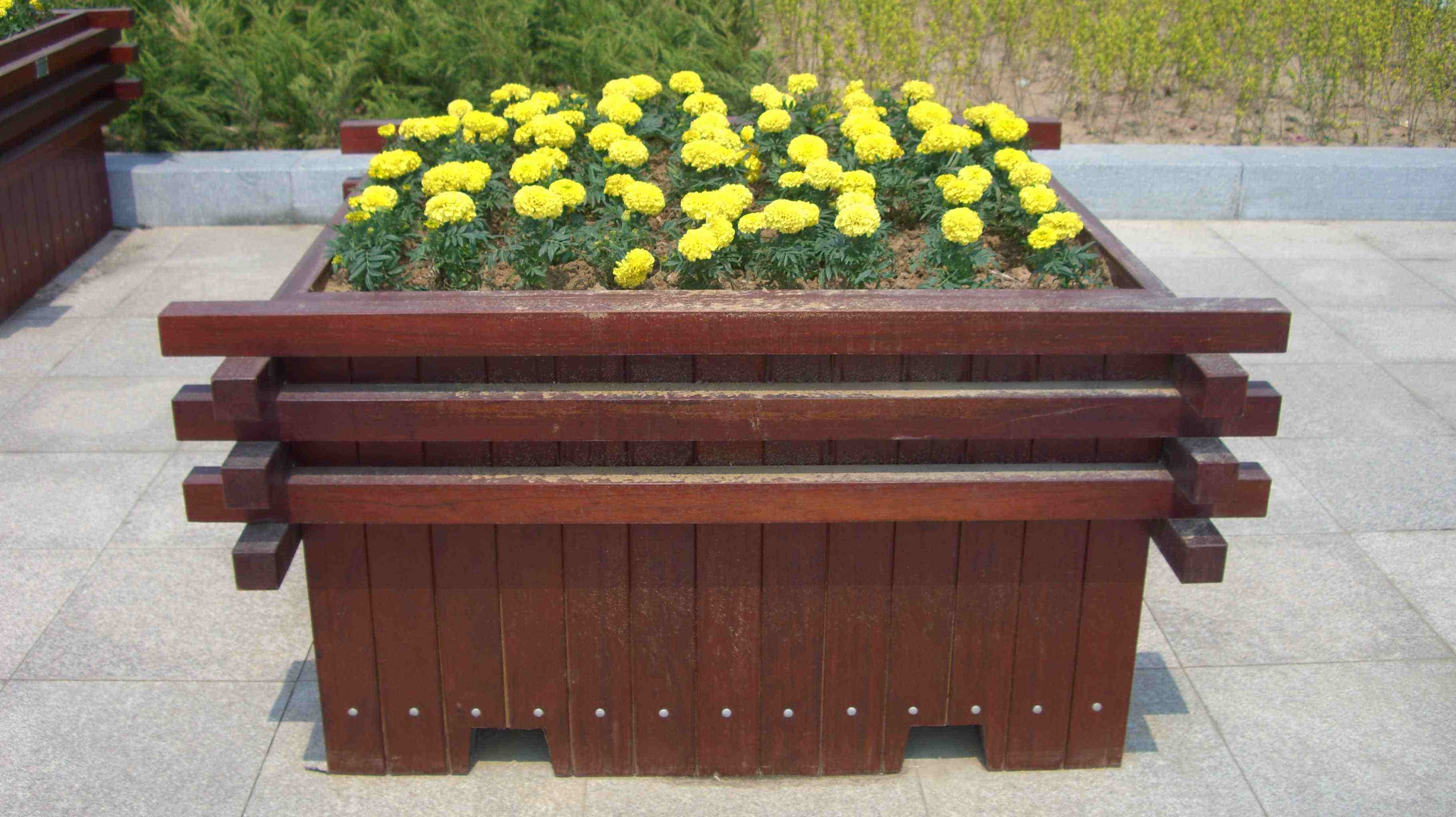 大連木結構国产精品蜜桃久